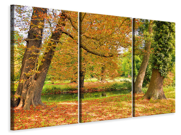 3 darab Vászonképek In the middle of autumn trees