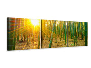 3 darab Vászonképek Panoramic Bamboos