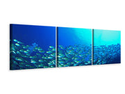 3 darab Vászonképek Panoramic Shoal Of Fish