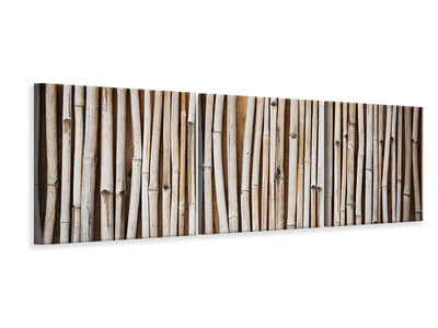 3 darab Vászonképek Panoramic Dried Bamboos