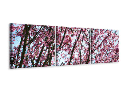 3 darab Vászonképek Panoramic Japanese Cherry Blossom