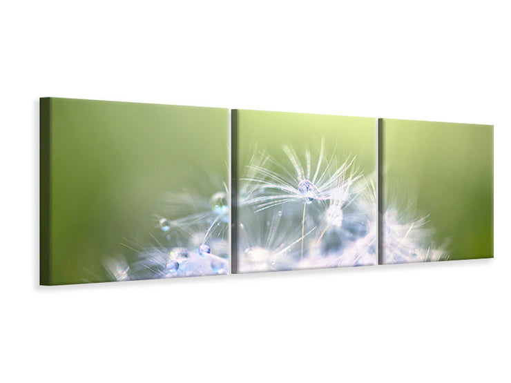 3 darab Vászonképek Panoramic Dandelion XL In Morning Dew