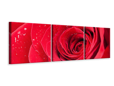 3 darab Vászonképek Panoramic Red Rose In Morning Dew