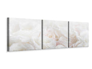 3 darab Vászonképek Panoramic White Roses In The Morning Dew