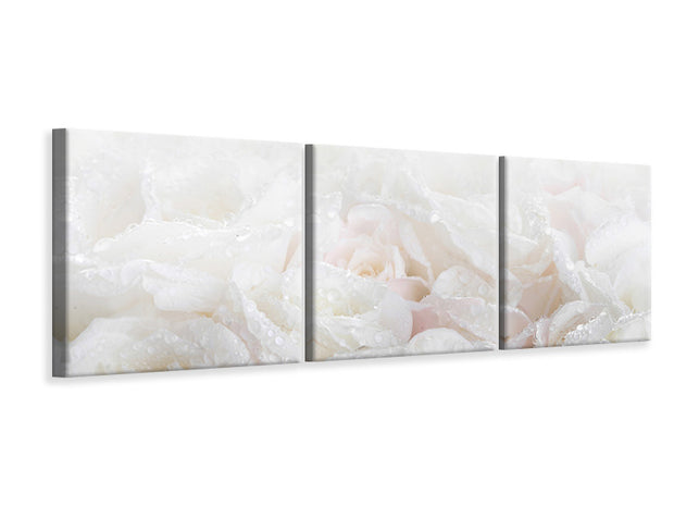 3 darab Vászonképek Panoramic White Roses In The Morning Dew