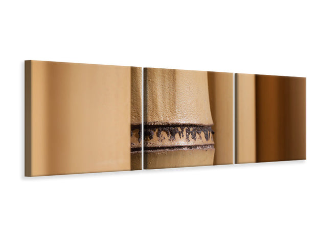 3 darab Vászonképek Panoramic Bamboo Close up