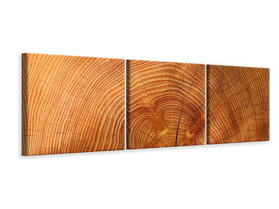 3 darab Vászonképek Panoramic tree rings