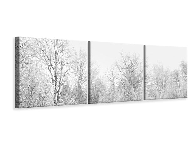 3 darab Vászonképek Panoramic Birches in the snow