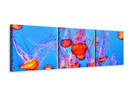 3 darab Vászonképek Panoramic Colorful jellyfish