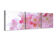 3 darab Vászonképek Panoramic Japanese cherry blossom XL