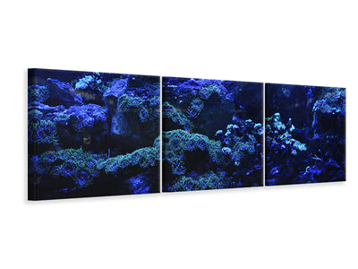 3 darab Vászonképek Panoramic Coral reef in blue