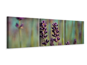 3 darab Vászonképek Panoramic Lavender in XL