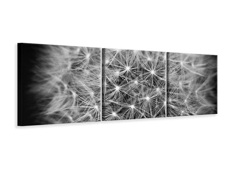 3 darab Vászonképek Panoramic Dandelion in XXL