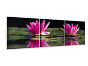 3 darab Vászonképek Panoramic Water Lilies Duo in pink