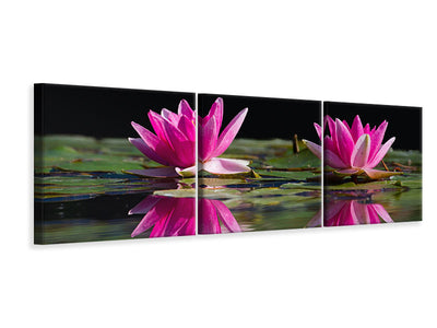 3 darab Vászonképek Panoramic Water Lilies Duo in pink