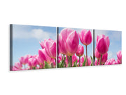 3 darab Vászonképek Panoramic Tulip field in pink