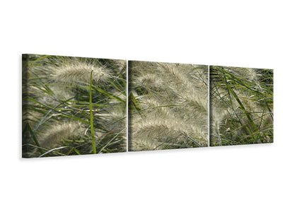 3 darab Vászonképek Panoramic Ornamental grass in the wind