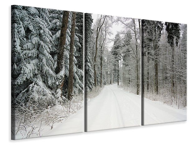 3 darab Vászonképek Snow in the forest