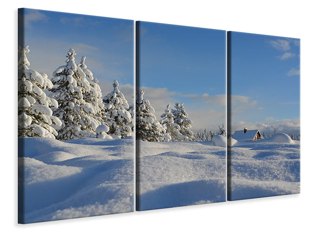 3 darab Vászonképek Beautiful snow landscape