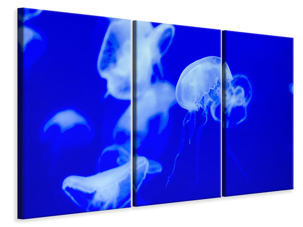 3 darab Vászonképek Floating jellyfish