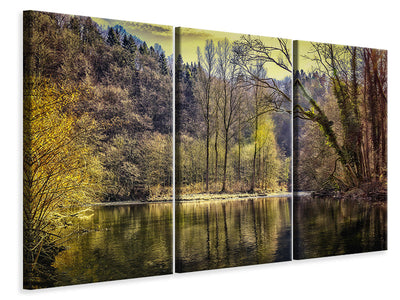 3 darab Vászonképek Lake in the forest