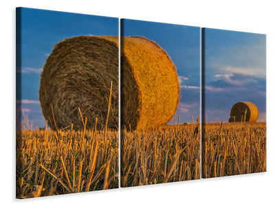 3 darab Vászonképek straw bales