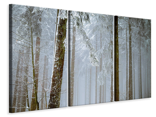 3 darab Vászonképek Forest in winter