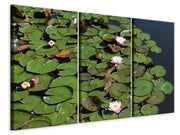 3 darab Vászonképek White water lilies in the pond