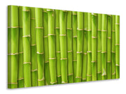 Vászonképek Bamboo Wall