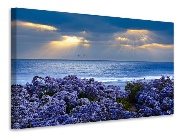 Vászonképek Lavender And Sea