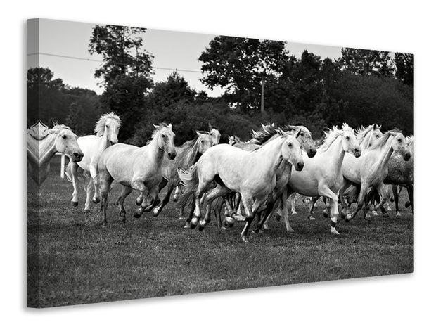 Vászonképek The Mustang Herd
