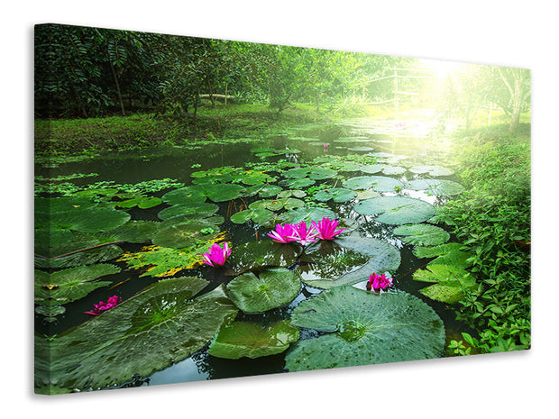 Vászonképek Garden Pond