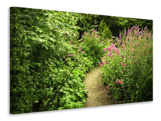 Vászonképek Garden Path