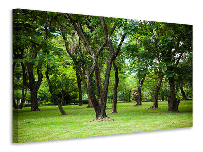 Vászonképek Cherry Garden