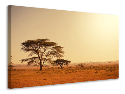 Vászonképek Pastures In Kenya