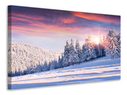 Vászonképek Winter Landscape