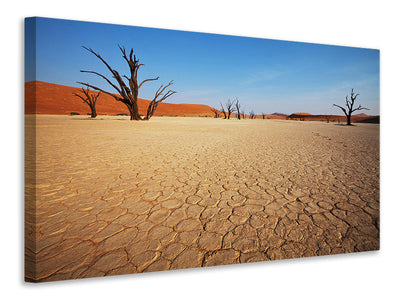 Vászonképek Desert