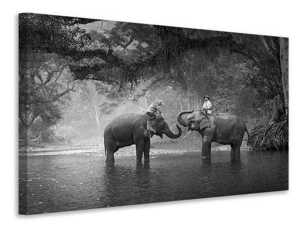 Vászonképek Two Elephants