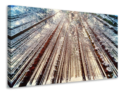 Vászonképek Trees in the snow