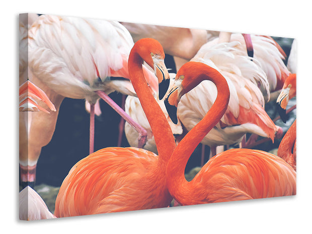 Vászonképek Colorful flamingos