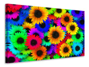 Vászonképek Colorful sunflowers