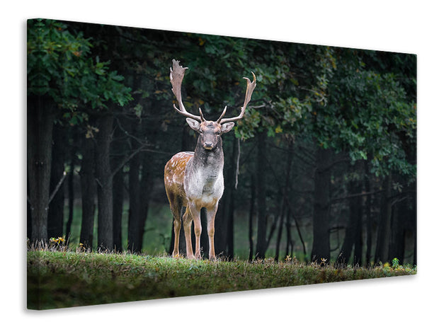 Vászonképek The fallow deer 2