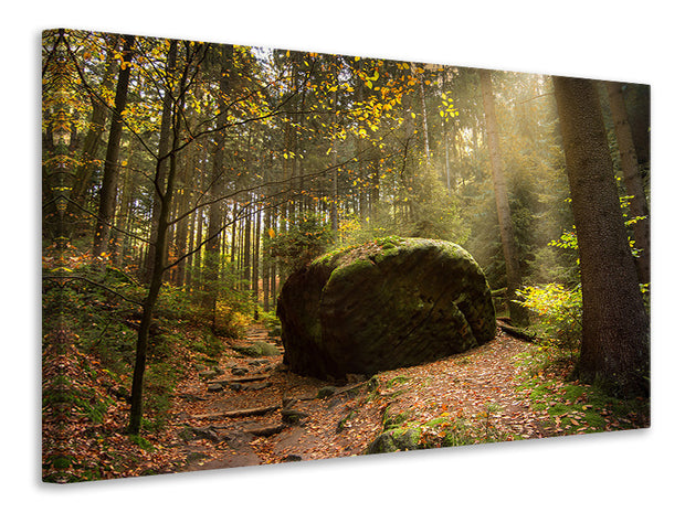 Vászonképek The rock in the forest