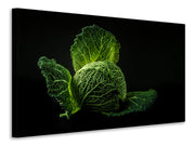 Vászonképek The cabbage