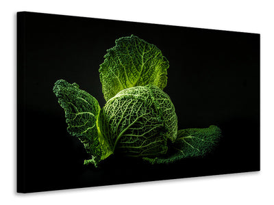 Vászonképek The cabbage