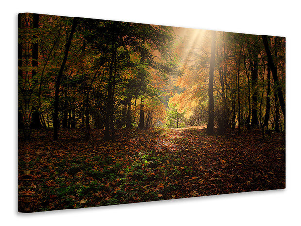 Vászonképek The deciduous forest