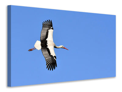 Vászonképek The stork in action