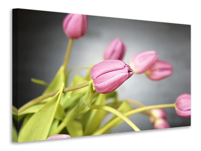 Vászonképek The tulip bouquet in pink