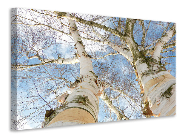 Vászonképek The 2 birches