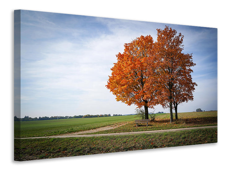 Vászonképek The 3 trees